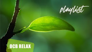 Beautiful Piano Music Mix - Relaxing Music for Sleeping, Stress Relief, Sleep Music (Oblivion)