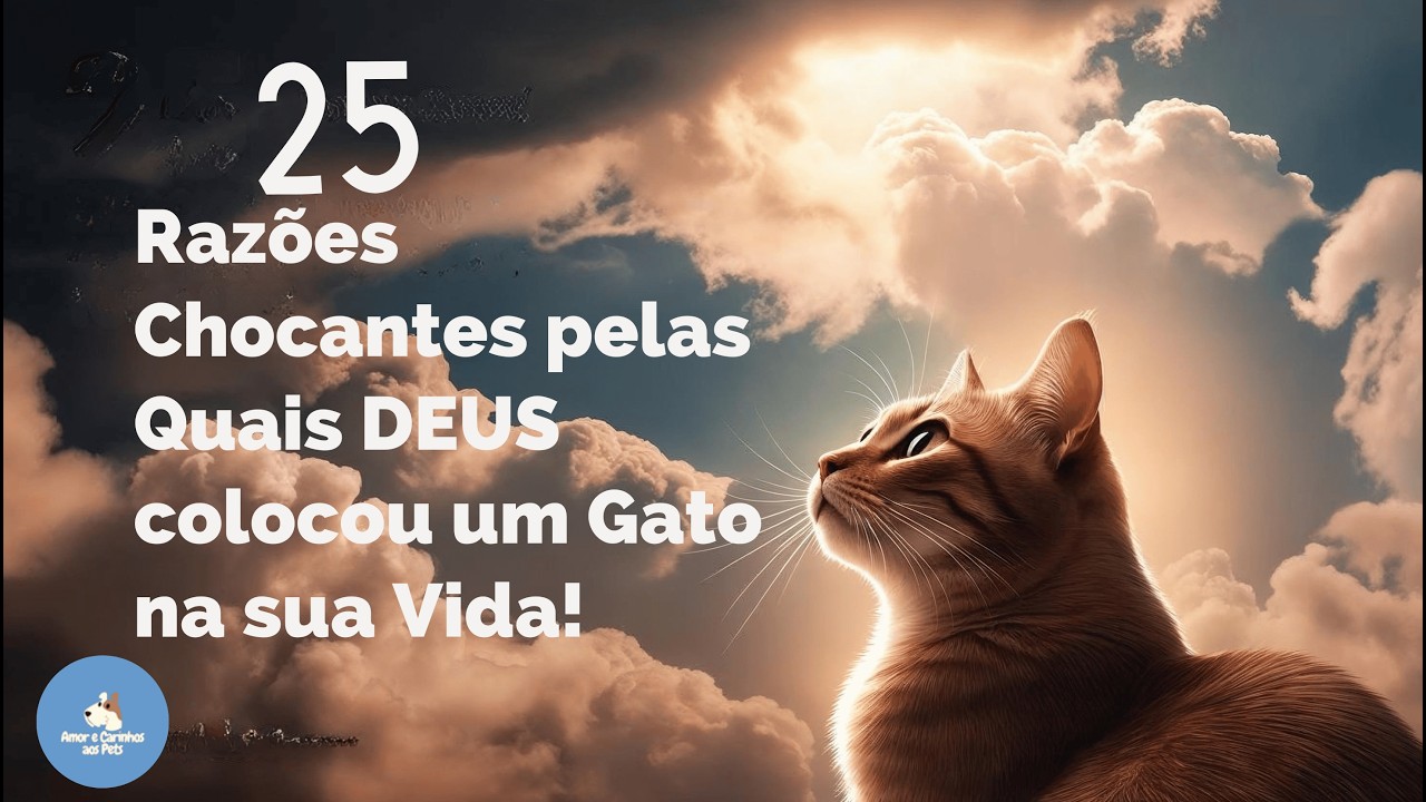25 Razões CHOCANTES pelas quais DEUS colocou um GATO em sua vida !