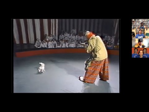 VCR Party's Quarantine Qlassics, Ep. 19 - Stuvs, Stuvs and More Stuvs