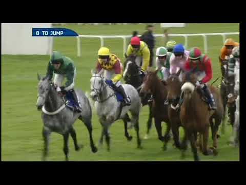 2013 Jewson Novices' Chase - Cheltenham Festival