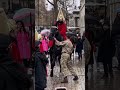 Scary Moment Spooked Horse Runs Into Street Of Tourists Thekingsguard