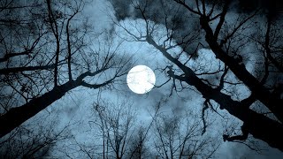 INSOMNIA Relief [Fall Asleep Fast] ★︎ Peaceful and Soothing Music ★︎ Binaural Beats, Delta Waves