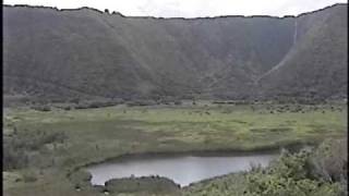 preview picture of video 'Driving Down Into Waipio Valley: The Truth'