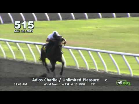 Conquest Stables - OBS March Sale 2015 - Tiznow - Kittens Joy - Uncle Mo