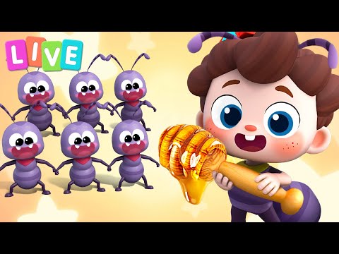 Capa de 🔴 BabyBus Live  -  A Marcha das Formigas | Sim! Neo | Músicas Infantis & Canções Infantis