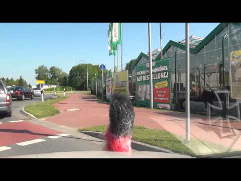 Sande Friesland 7 6 2013