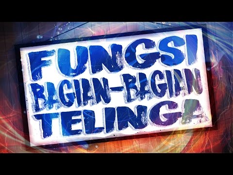 download lagu mp3 mp4 Download Clipart Telinga, download mp3 Download Clipart Telinga free downloadn, video klip Download Clipart Telinga