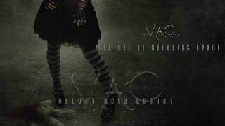 Velvet Acid Christ - Tripped Out