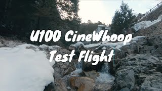U100 剥きプロ テストフライト in 広島山間部