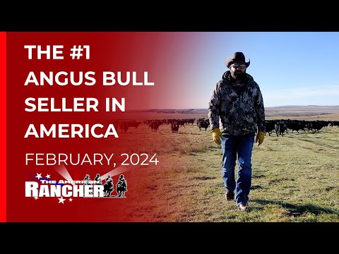 Jorgensen Land & Cattle   The American Rancher   02 19 2024