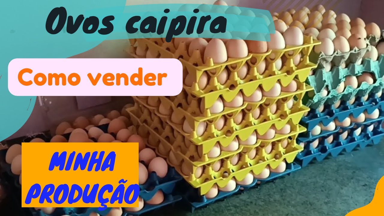 Como e Onde vender minha produção de ovos caipira#ovoscaipira #galinhapoedeira #ovoscaipira #agro