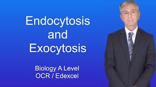 A Level Biology Revision "Endocytosis and Exocytosis OCR / Edexcel"