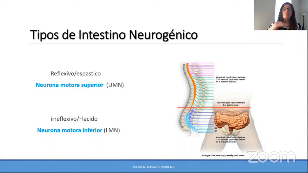 Intestino Neurogénico: lo que todo profesional de la salud debe saber