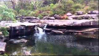 preview picture of video 'Georges River Bush Walk, Campbeltown, New South Wales, Australia'