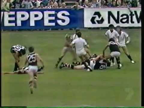 Biffs Bumps and Brawlers 2