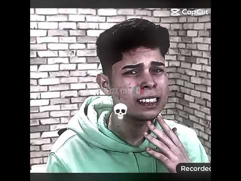 #edit do GonGon ele tá ficando um pouco prime 💀