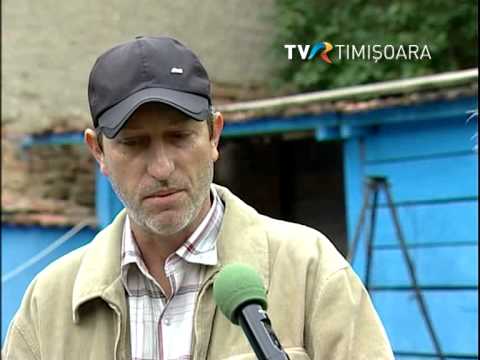 Primarie cu dinastie