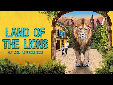 Tour of Land Of The Lions at ZSL London Zoo