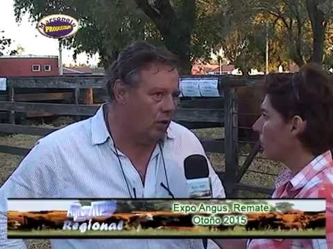 Angus Otoño 2015, Nota a Gervasio Saenz Valiente