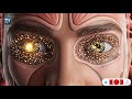 3d Animation Of Diabetes Syndrome Sugar And It S Diet Plan And Management With It S Symptoms Viral