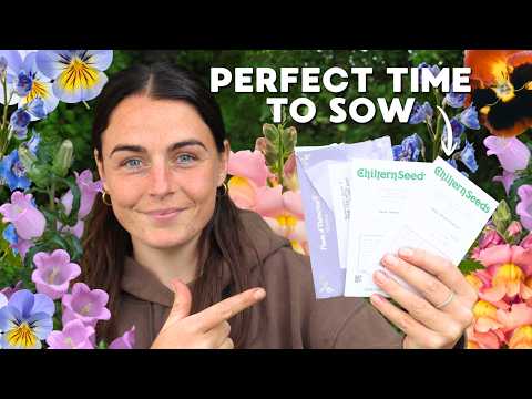 Cut Flower Seeds to Start NOW in Late February 🌱