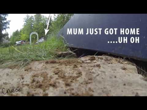 Dachshund Stuck Under Deck   Mum Almost Finds Out!