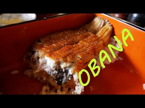 Michelin Star Unagi Lunch at Obana (尾花) in Tokyo