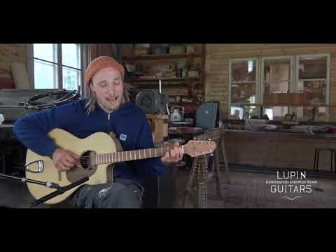 Jens Erik Larsen "endnu en nat" - Lupin Guitars