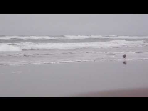 Ebb Tide - Matt Monro