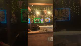 sushi bar #anime #amazing #sushi #animesushibar #shortvideo #subscribe #shorts #thunder #funny #lol