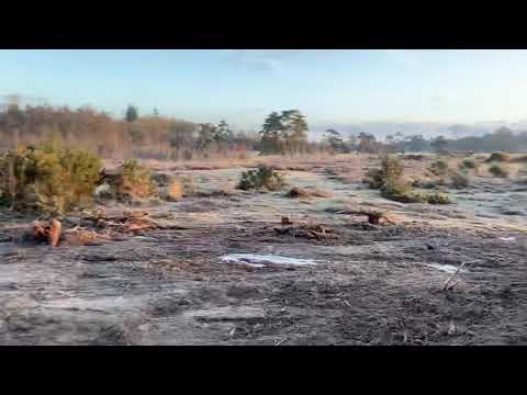 Trailrun Bakkeveen januari 2021