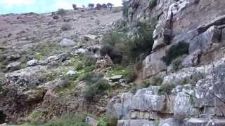 preview picture of video 'Έξοδος του Φαραγγιού Χά - Ιεράπετρα, Exit the canyon of Ha - Ierapetra'