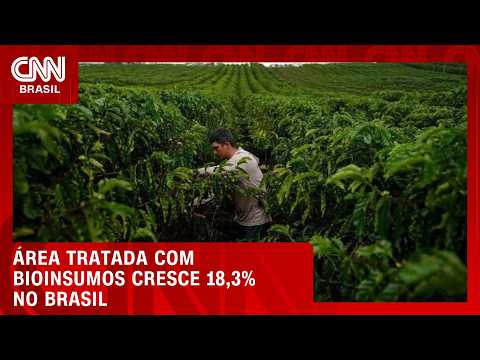 Brasil chega 46 milhões de hectares tratados com bioinsumos no 1º semestre | CNN AGRO NEWS