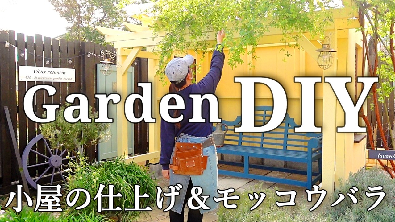 【小屋DIY#4】屋根の仕上げとモッコウバラの誘引