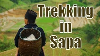 Hike to explore Giang Ta Chai Village (Dzao Tribe) | Trekking in Sapa, Vietnam Travel Video (Part 3)