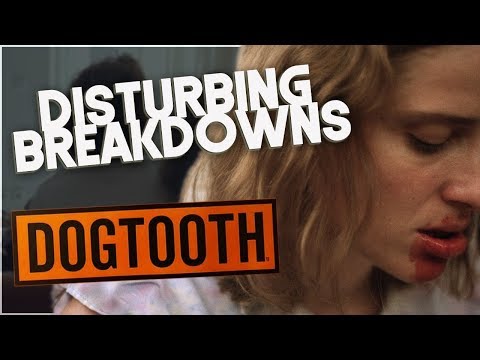 download lagu mp3 mp4 Dogtooth Movie Ending, download lagu Dogtooth Movie Ending gratis, unduh video klip Dogtooth Movie Ending