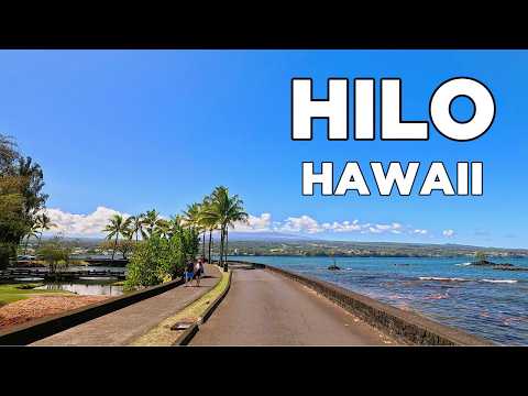 Driving Through Hilo, Hawaii | Scenic Tour of the Big Island in 4K
