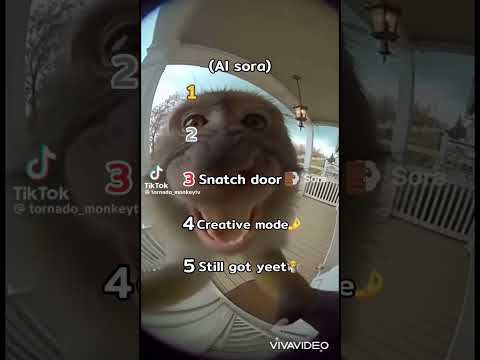 Ranking monkey vs tornado🐵🐒🌪️part 5#ranking#monkey#tornado#ai