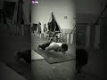 Snake Shorts Youtube Indian Army