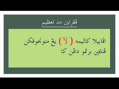 mad badal dan mad ta zim x264