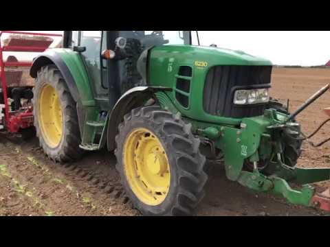 CHECCHI & MAGLI - BABY COMPACT-4 PLANTATION OIGNONS BIO - FRANCE