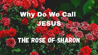 The Meaning of “ The Rose of Sharon “- Pastor Reginald Sharpe Jr. Fellowship Chicago