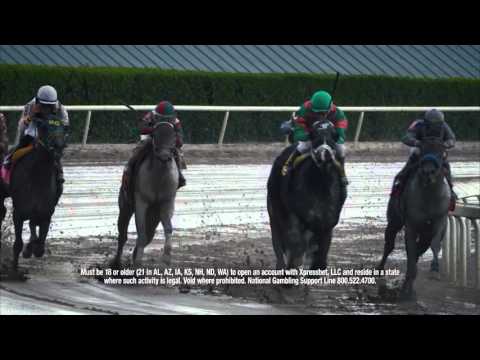 Gulfstream Park Replay Show | April 3, 2016