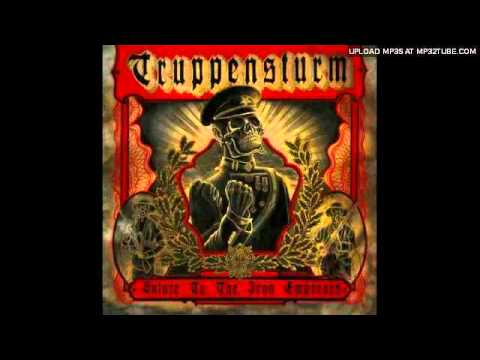 Truppensturm - Sardonic Cross