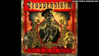 Music video thumbnail preview for Truppensturm - Sardonic Cross by Truppensturm