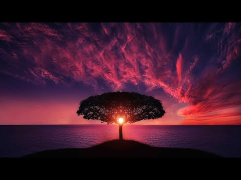 Fascinating Aerial Views of Canada  4K Cinematic Drone Footage of British Columbia