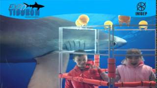 DIA 2 Expo Tiburon317