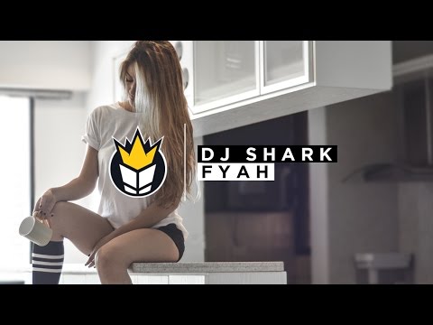 DJ Shark - Fyah (Feat. Naza Brothers & Mr Shammi)