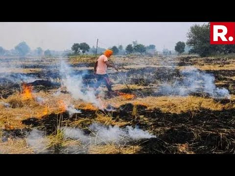 SC Slams Haryana Government Over 'Miserable Failure' Over Stubble Burning
