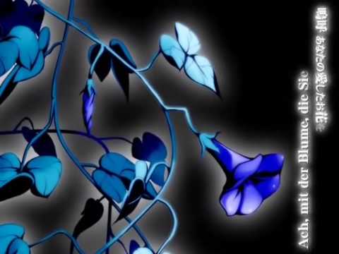 Video thumbnail for heavenly blue